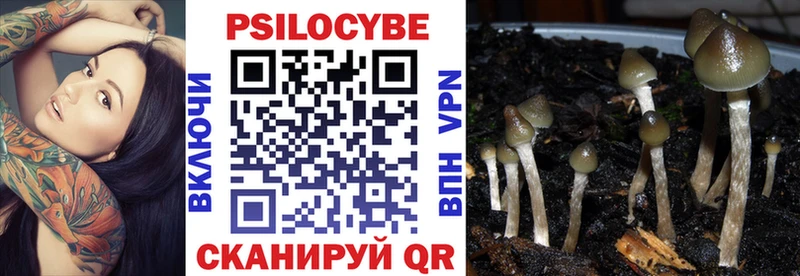 Псилоцибиновые грибы Psilocybe  что такое наркотик  Стрежевой 